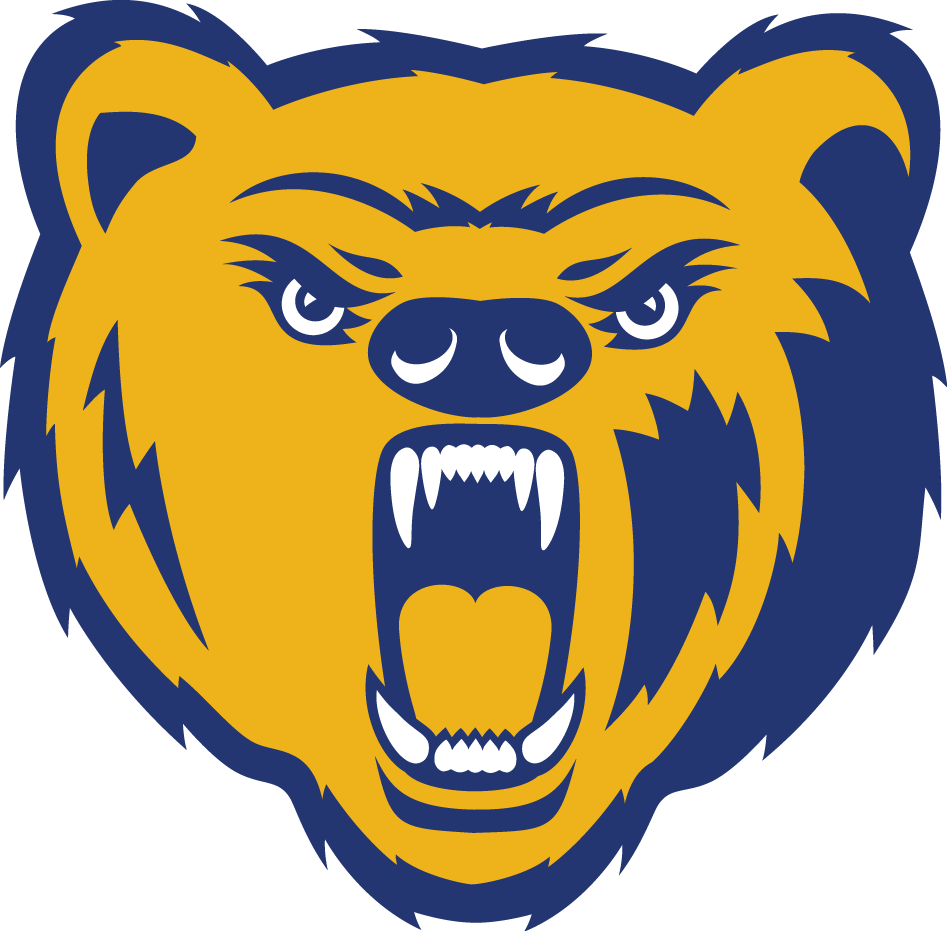 Northern Colorado Bears 2010-2014 Primary Logo t shirts DIY iron ons